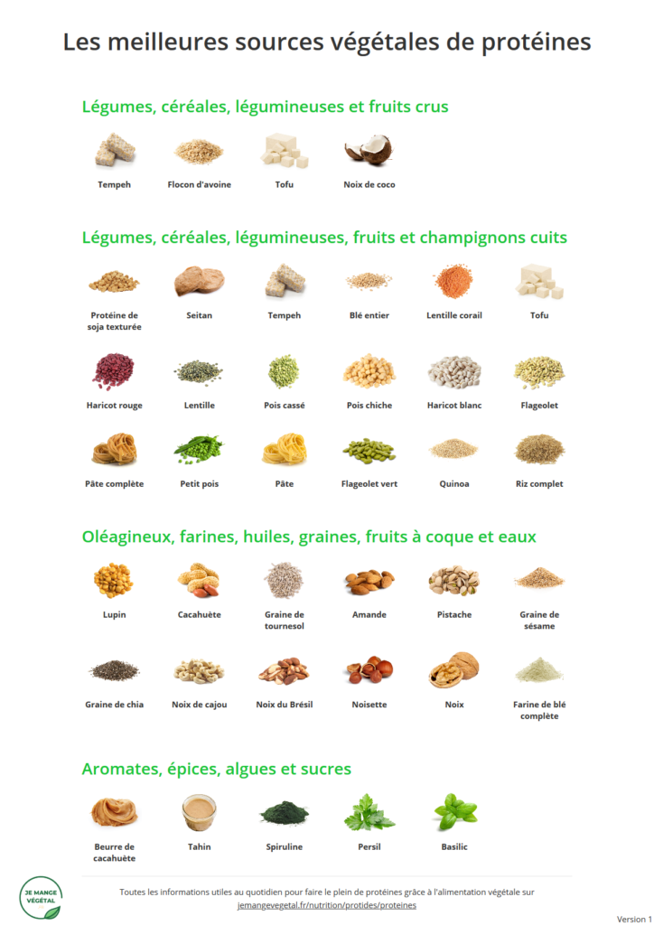 Poster des meilleures sources végétales de protéines