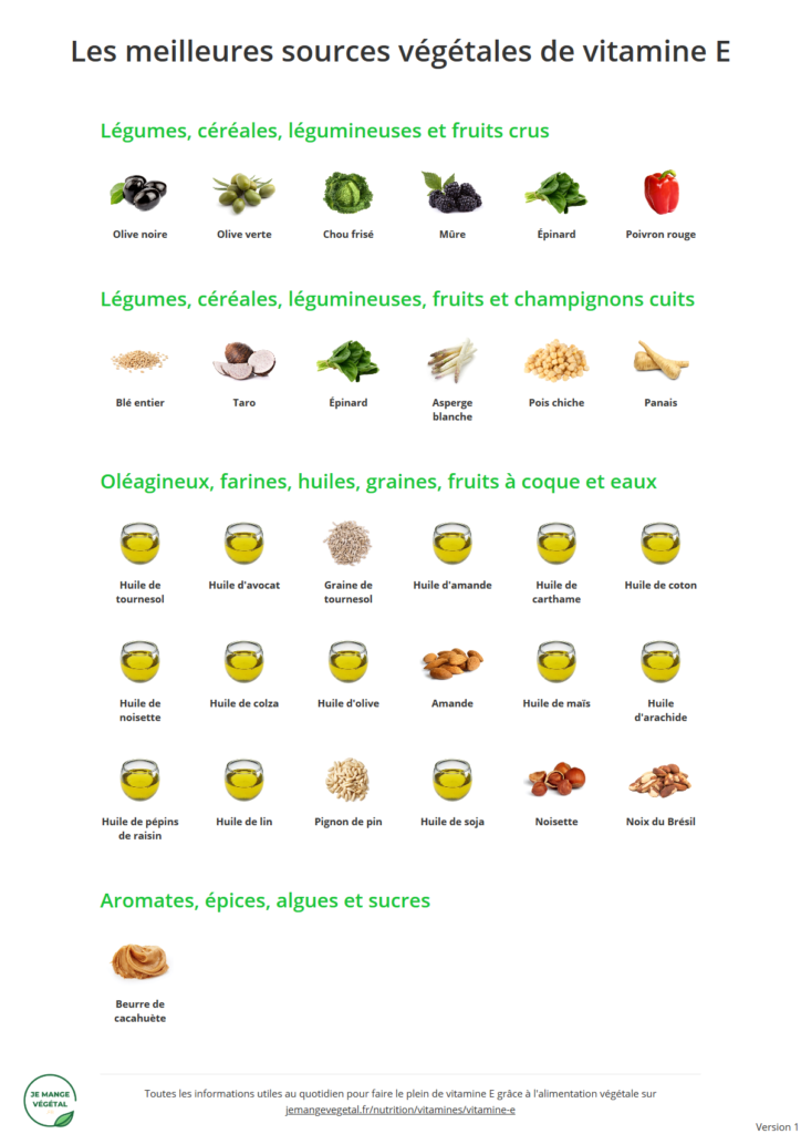 Poster des meilleures sources végétales de vitamine E