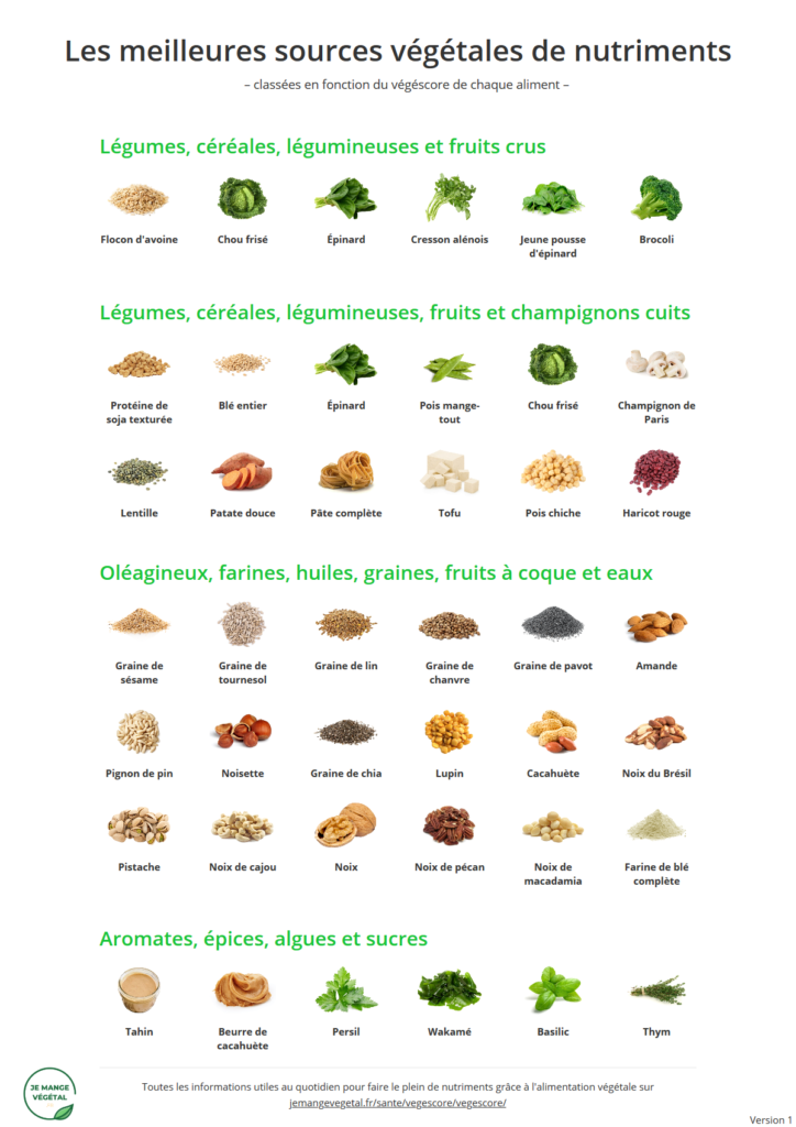Poster des meilleures sources végétales de nutriments