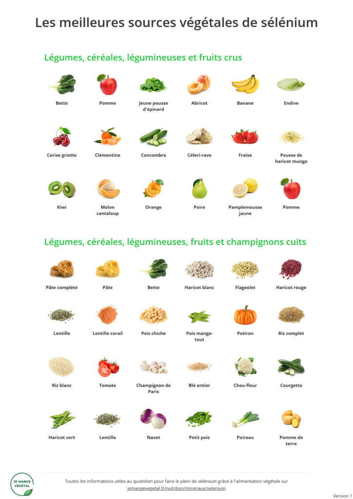 Poster des meilleures sources végétales de sélénium