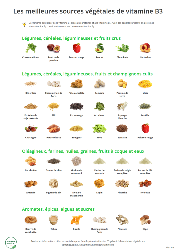 Poster des meilleures sources végétales de vitamine B3