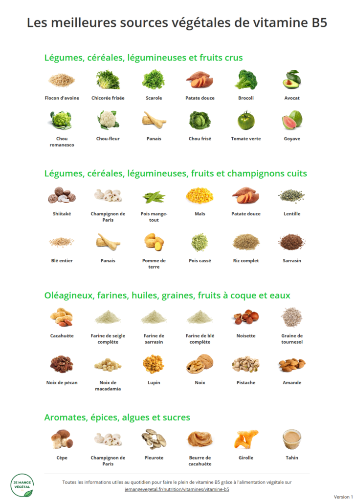 Poster des meilleures sources végétales de vitamine B5