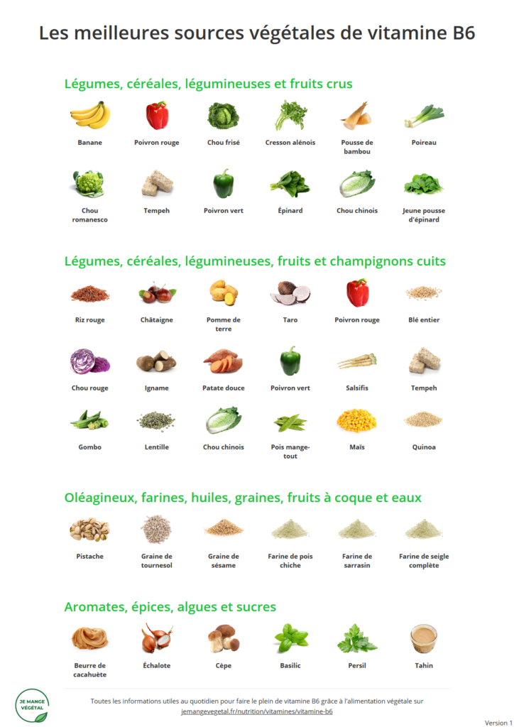 Poster des meilleures sources végétales de vitamine B6