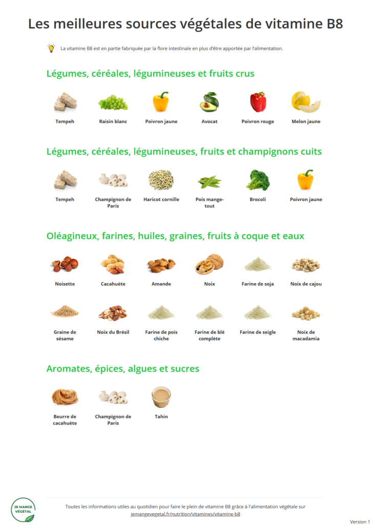 Poster des meilleures sources végétales de vitamine B8