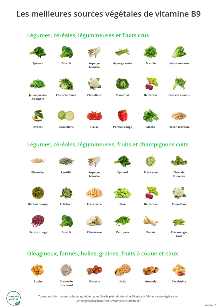 Poster des meilleures sources végétales de vitamine B9